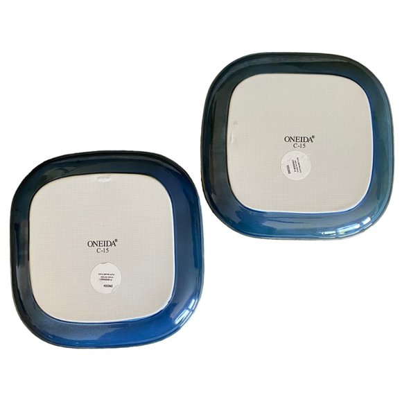 Oneida Studio Pottery Porcelain Plates Square Blue Moss Restaurantware 10" x 10" - Picture 5 of 9